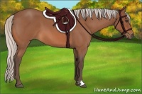 Horse Color:Silver Bay Roan