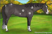 Horse Color:Platinum Smoky Black Splash 