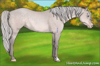 Horse Color:Platinum Silver Sable Cream Champagne 