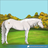 Horse Color:Platinum Perlino Tobiano 