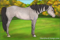Horse Color:Platinum Sable Champagne