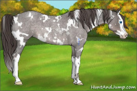 Horse Color:Platinum White Spotted Liver Red Roan Splash