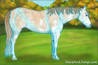 Horse Color:Thunderstruck Red Dun Ice Splash 