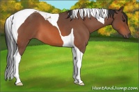 Horse Color:Bay Roan Tobiano 