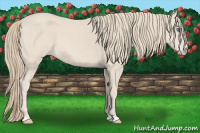 Horse Color:Smoky Creme