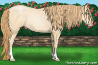 Horse Color:Smoky Blue Roan Pearl 