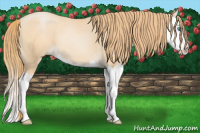Horse Color:Smoky Black Pearl Sabino Splash