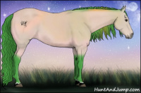 Horse Color:Watercolor Buckskin 