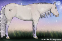 Horse Color:Watercolor Silver Perlino Dun 