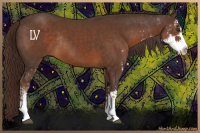 Horse Color:Liver Chestnut Sabino Rabicano 