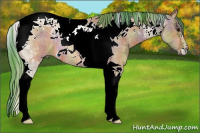 Horse Color:Nacre Watercolor Bay Ice Tobiano 