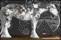 Horse Color:Brown Sabino Splash 