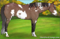 Horse Color:White Spotted Buckskin Frame 