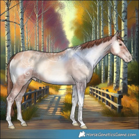 Horse Color:Gold Champagne Ice Onyx Tobiano 