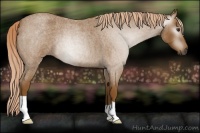 Horse Color:Gray Palomino Roan 