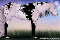 Horse Color:Watercolor Cremello Tobiano 