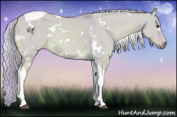 Horse Color:Watercolor White Spotted Palomino Dun Tobiano 