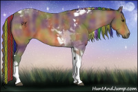 Horse Color:Painted Nacre Bay Tobiano 