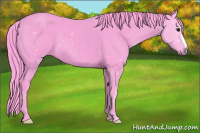 Horse Color:Watercolor Black 