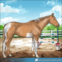 Horse Color:Chestnut Tobiano 