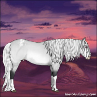 Horse Color:Silver Bay Chinchilla Dun Splash Appaloosa 