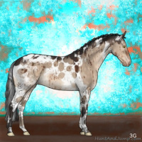 Horse Color:Brown Dun Tobiano Appaloosa Brindle