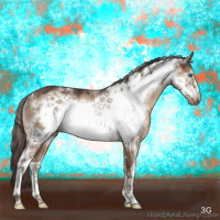 Horse Color:White Spotted Liver Red Dun Frame Rabicano 