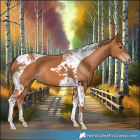 Horse Color:Chestnut Tobiano 