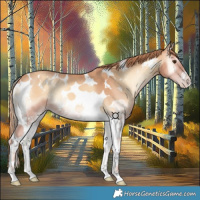 Horse Color:Gold Champagne Onyx Tobiano 