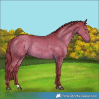 Horse Color:Watercolor Liver Chestnut 