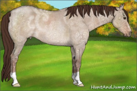 Horse Color:Liver Red Dun Ice Roan Rabicano
