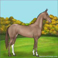 Horse Color:Black Pearl 