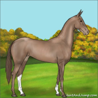 Horse Color:Black Pearl 