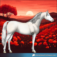 Horse Color:Silver Buckskin Roan Pearl Sabino Splash 
