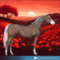 Horse Color:Silver Black Sabino 