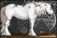 Horse Color:Liver Chestnut Sabino Frame Rabicano