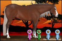 Horse Color:Silver Brown Sabino 