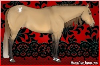 Horse Color:Buckskin Dun Varnish 