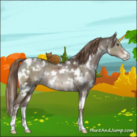 Horse Color:White Spotted Liver Red Dun Ice Sabino Rabicano