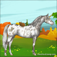 Horse Color:White Spotted Liver Red Dun Ice Mushroom Sabino Appaloosa Brindle