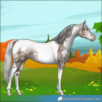 Horse Color:White Spotted Silver Brown Ice Dun Mushroom Tobiano Brindle 
