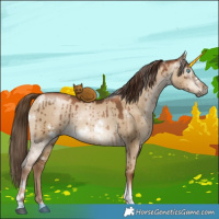 Horse Color:Gray White Spotted Liver Red Dun Pearl Tobiano Brindle