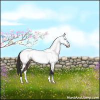 Horse Color:Brown Dun Near Fewspot Brindle 
