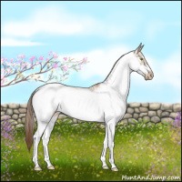 Horse Color:Liver Red Dun Pearl Sabino Frame Brindle 