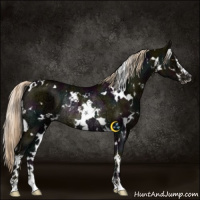 Horse Color:White Spotted Midnight Chocolate Palomino Ice Sabino Rabicano