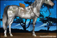 Horse Color:White Spotted Brown Dun Mushroom Brindle 