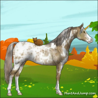 Horse Color:White Spotted Chocolate Palomino Ice Dun Sabino Brindle 