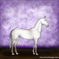 Horse Color:Gray Classic Champagne Dun Rabicano