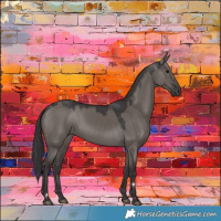 Horse Color:Smoky Grullo