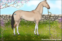 Horse Color:Brown Dun Tobiano 